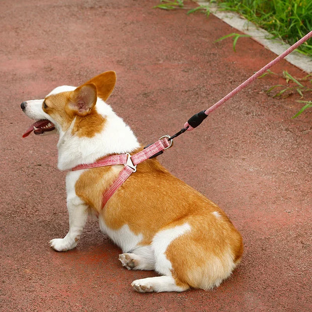 Adjustable Pet Harness & Leash Set – 1.2M for Small Dogs & Cats