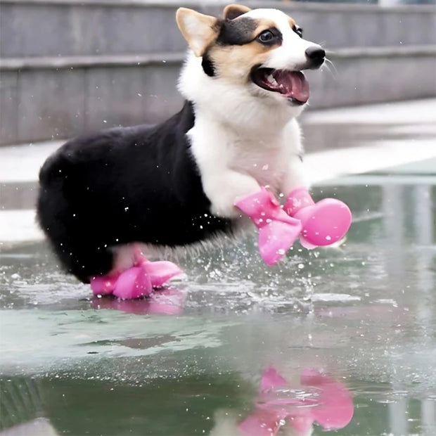 4pcs Waterproof Dog Booties – Candy Color Rubber Shoes for All Sizes