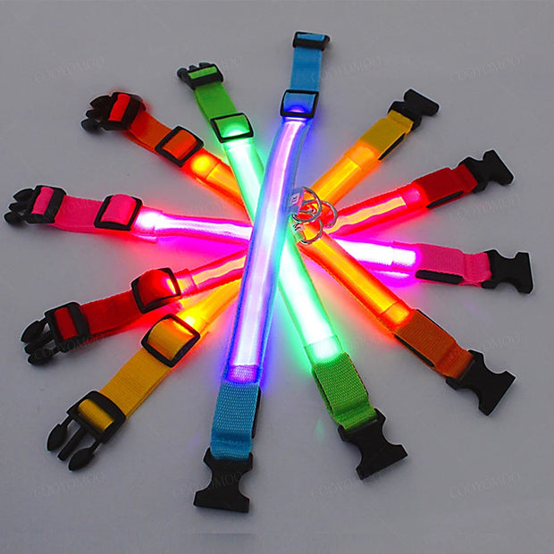 3-Mode LED Dog Collar – USB Rechargeable & Detachable Night Safety Light