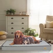 Orthopedic Calming Dog Bed – Gray, Multiple Sizes with Removable Cover
