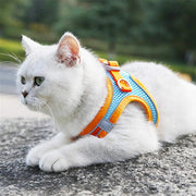 Reflective Dog Harness & Leash Set – Adjustable for Small Dogs & Cats