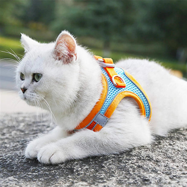 Reflective Dog Harness & Leash Set – Adjustable for Small Dogs & Cats