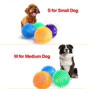 PawPlay Squeaky Ball – Training & Dental Chew Toy