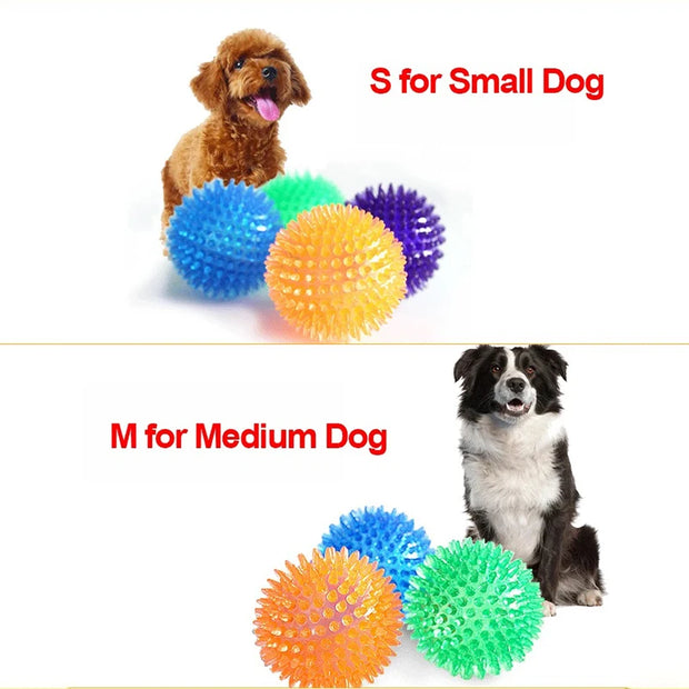 PawPlay Squeaky Ball – Training & Dental Chew Toy