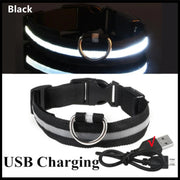 3-Mode LED Dog Collar – USB Rechargeable & Detachable Night Safety Light