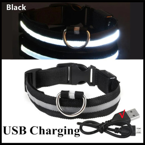 3-Mode LED Dog Collar – USB Rechargeable & Detachable Night Safety Light