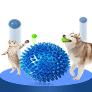ChewBuddy Squeaky Ball – Training & Teeth Cleaning Toy