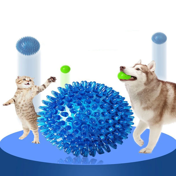 ChewBuddy Squeaky Ball – Training & Teeth Cleaning Toy
