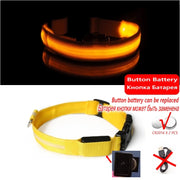 LED Dog Collar Light – Anti-Lost Night Glow with USB/Battery Option