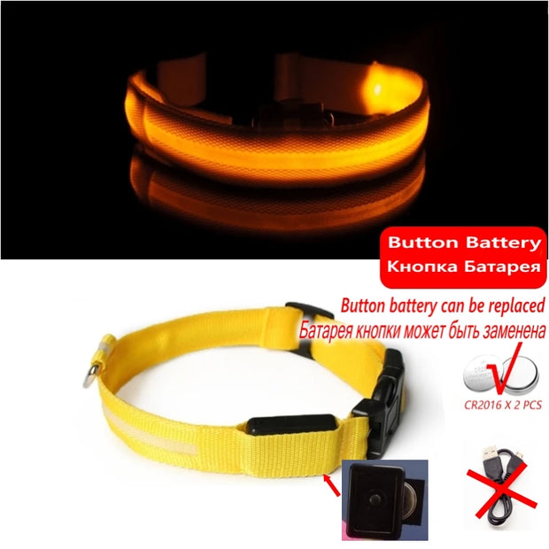 LED Dog Collar Light – Anti-Lost Night Glow with USB/Battery Option