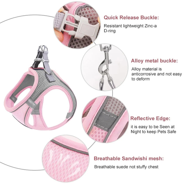Reflective Dog Harness & Leash Set – Adjustable for Small Dogs & Cats