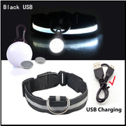 USB Glowing LED Pet Collar – Detachable Light for Night Safety