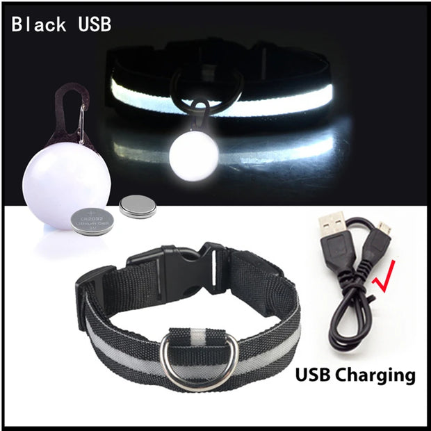 USB Glowing LED Pet Collar – Detachable Light for Night Safety