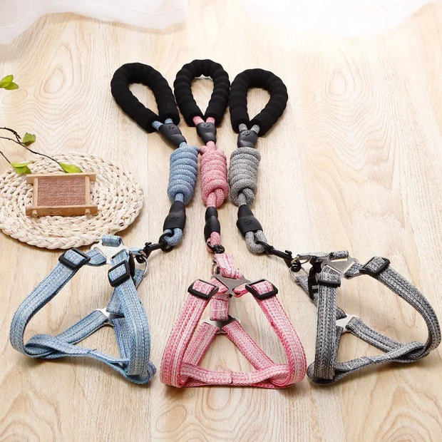 Adjustable Pet Harness & Leash Set – 1.2M for Small Dogs & Cats