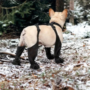 Waterproof Anti-Slip Dog Boots – Rugged Sole Paw Protectors