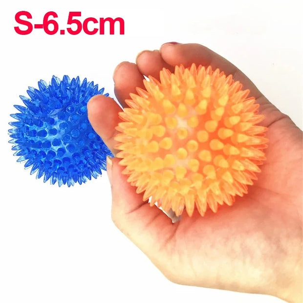PawPlay Squeaky Ball – Training & Dental Chew Toy