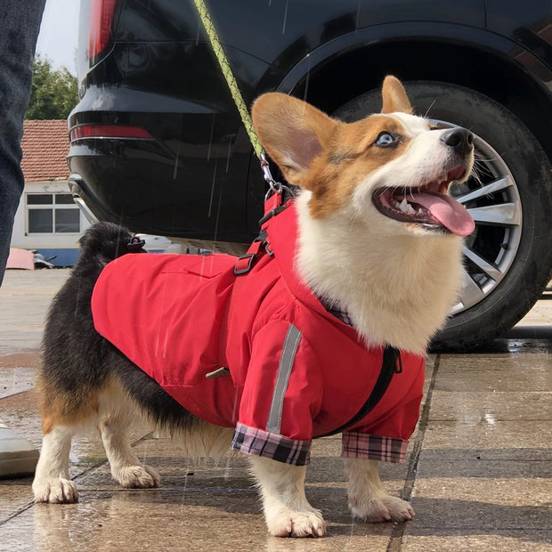Waterproof Dog Raincoat – Hooded with Leash Ring & Reflective Strips