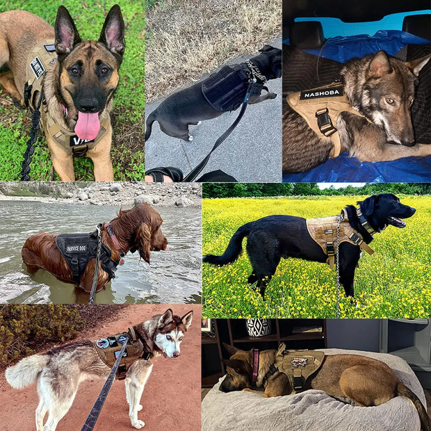 Adjustable Dog Harness with Molle Pouches – Ideal for German Shepherd & Malinois