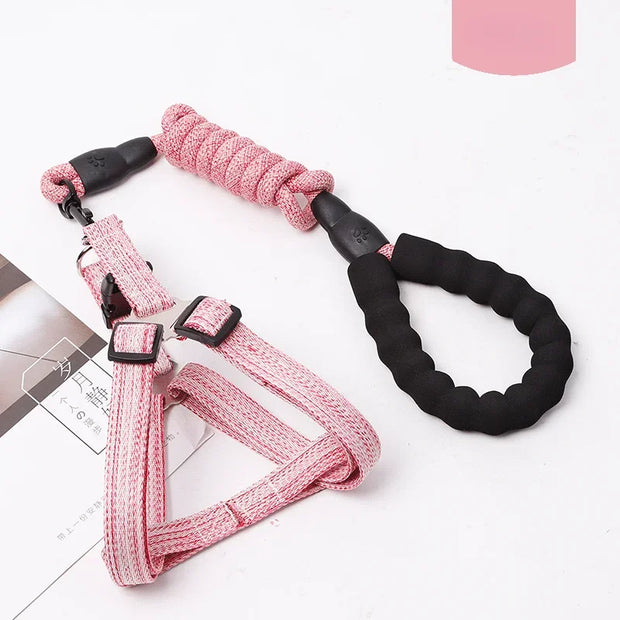 Adjustable Pet Harness & Leash Set – 1.2M for Small Dogs & Cats