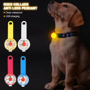 Weatherproof LED Pet Collar – USB Rechargeable Safety Light