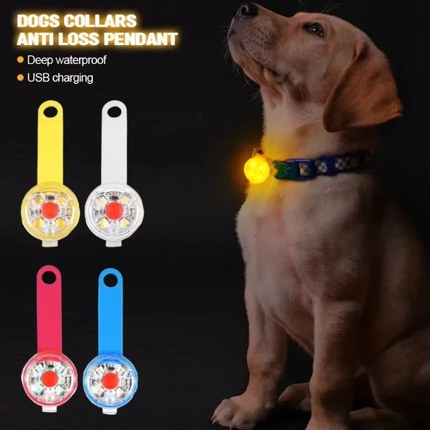 Weatherproof LED Pet Collar – USB Rechargeable Safety Light