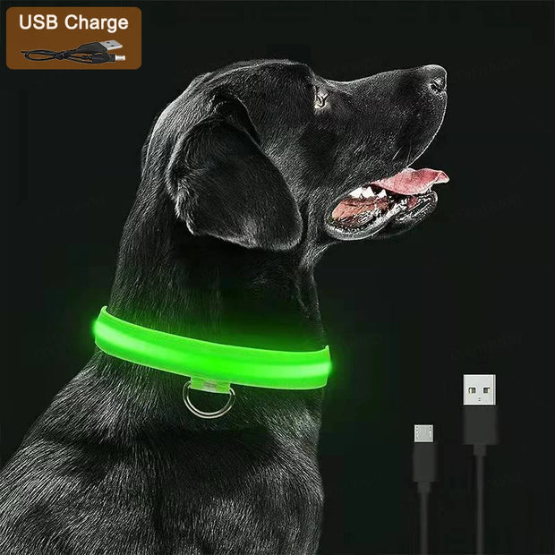 3-Mode LED Dog Collar – USB Rechargeable & Detachable Night Safety Light