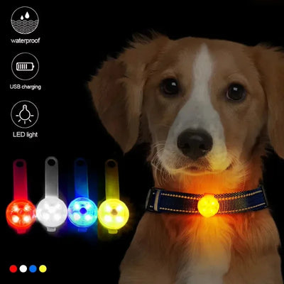 Weatherproof LED Pet Collar – USB Rechargeable Safety Light