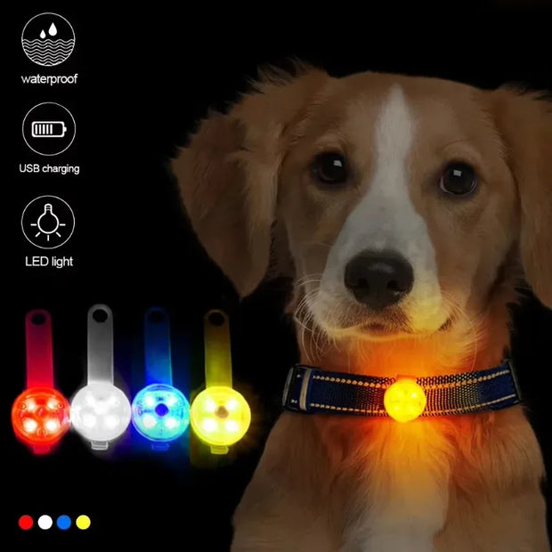 Weatherproof LED Pet Collar – USB Rechargeable Safety Light