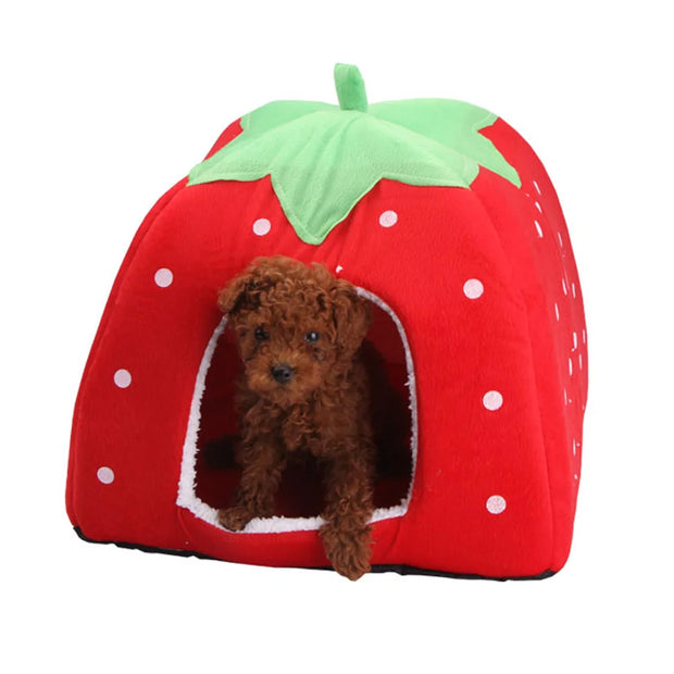 Strawberry Pet Cushion Basket – Soft Tent Bed for Small Dogs & Cats