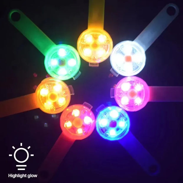 Weatherproof LED Pet Collar – USB Rechargeable Safety Light