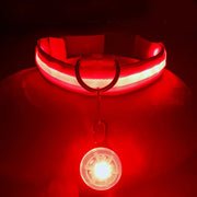 USB Glowing LED Pet Collar – Detachable Light for Night Safety
