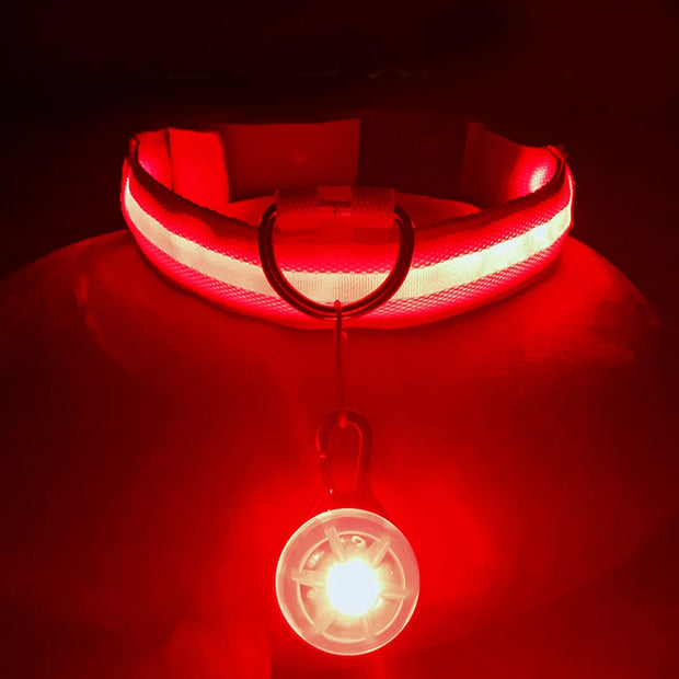 USB Glowing LED Pet Collar – Detachable Light for Night Safety