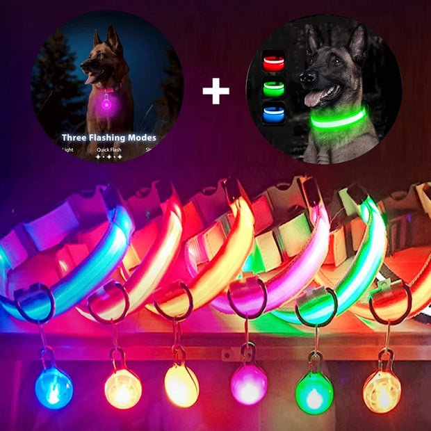 USB Glowing LED Pet Collar – Detachable Light for Night Safety