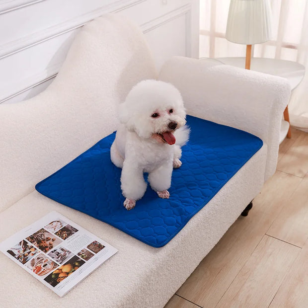Washable Dog Urine Pads – Reusable, Anti-Slip Puppy Training Mat