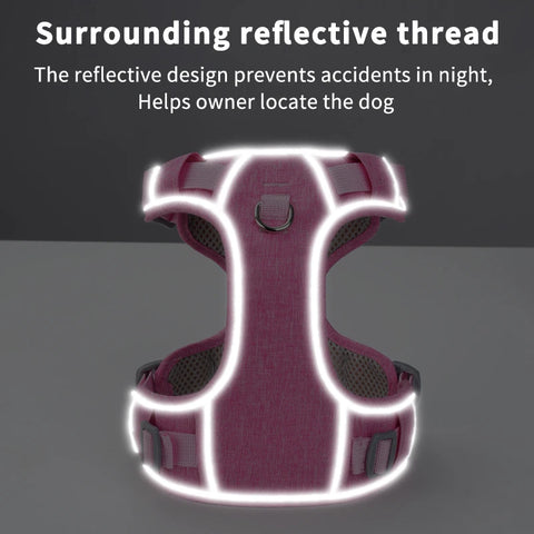 Reflective Mesh Dog Harness – Adjustable & Comfy Control