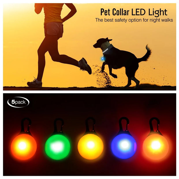 USB Glowing LED Pet Collar – Detachable Light for Night Safety