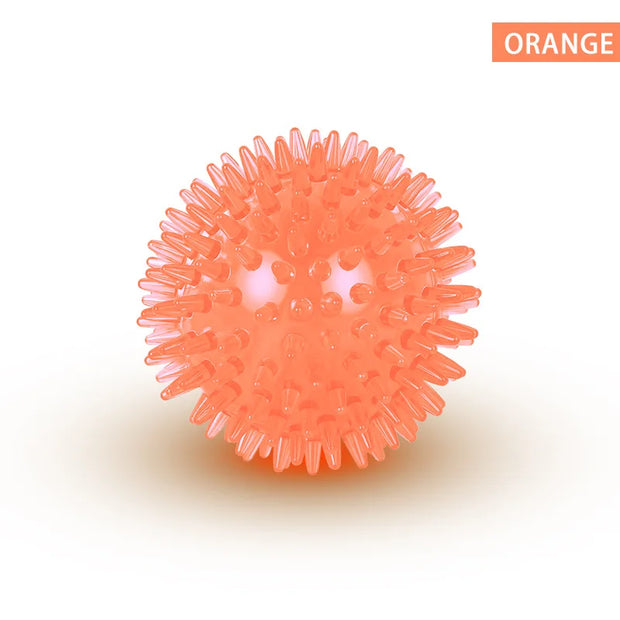 PawPlay Squeaky Ball – Training & Dental Chew Toy