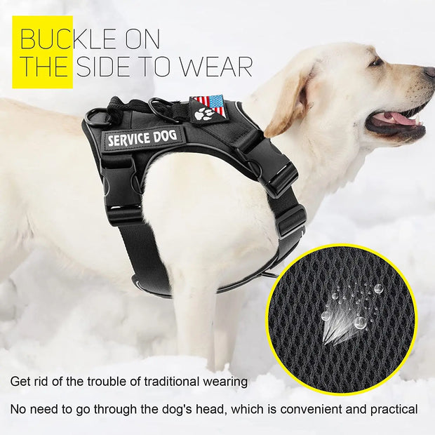No-Pull Reflective Dog Harness & Leash Set – Escape-Proof Desig