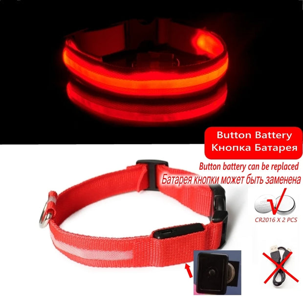 LED Dog Collar Light – Anti-Lost Night Glow with USB/Battery Option